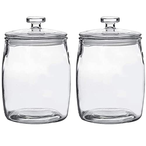 Ritayedet 1/2 Gallon Glass Jars with Lid