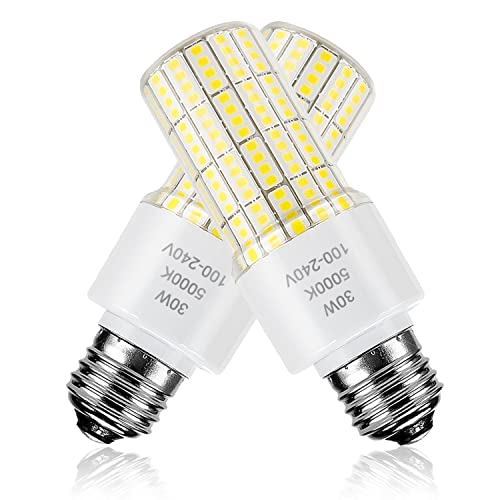 RIUVAO 30W Waterproof LED Corn Light Bulb for Outdoor Indoor Use