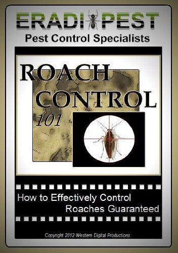 Roach Pest Control