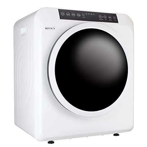 15 Best 110V Dryer For 2024