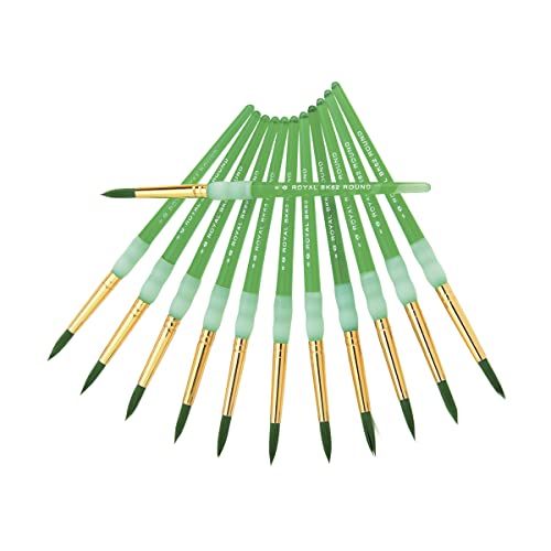 10Pcs Paint Brushes for Kids, Anezus Kids Paint Brushes Toddler