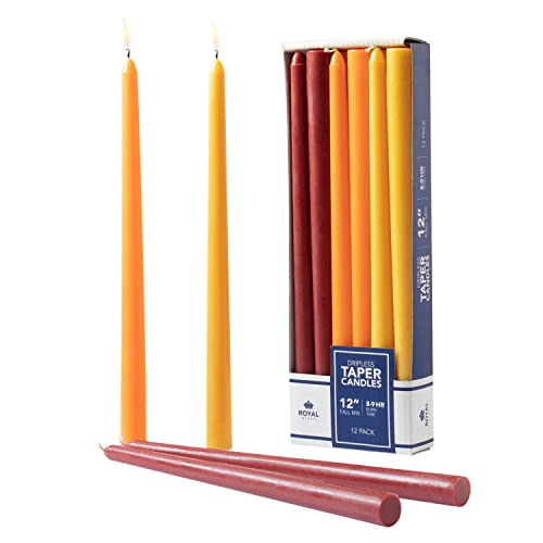 Royal Imports Dripless Taper Candles - Set of 12 (12 Inch, Red/Orange/Yellow)