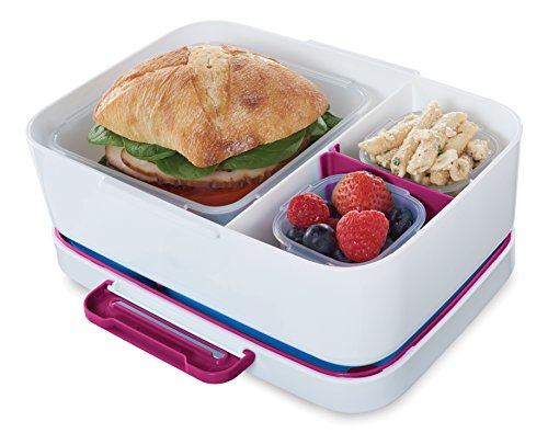 https://storables.com/wp-content/uploads/2023/11/rubbermaid-lunchblox-leak-proof-entree-lunch-container-kit-51Wz7IYGG7L.jpg