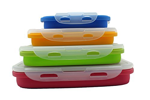 Sailing Silicone Lunch Box/Container - Set of 4