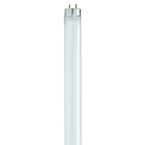 Satco S8404 24-Inch Warm White Energy Saving Lamp