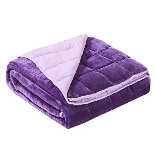 Satwip Purple Weighted Blanket