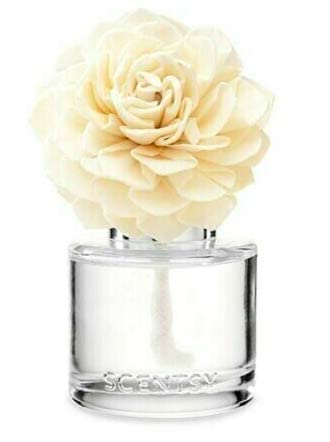 SCENTSY - Amazon Rain - Fragrance Flower