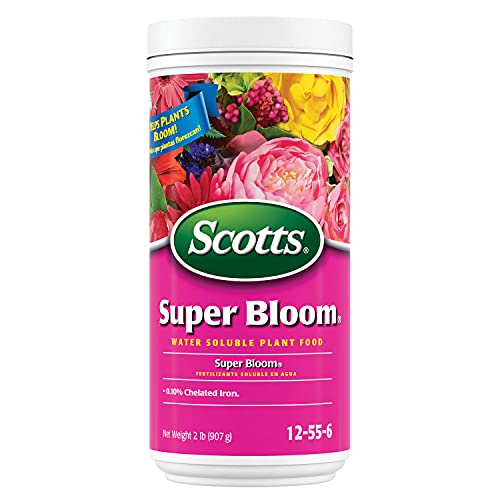 Scotts Super Bloom Plant Food