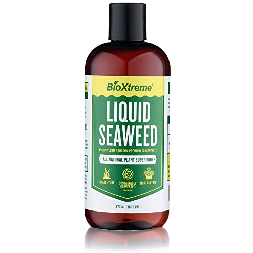 Seaweed Liquid Nutrient for Plants - 16 oz
