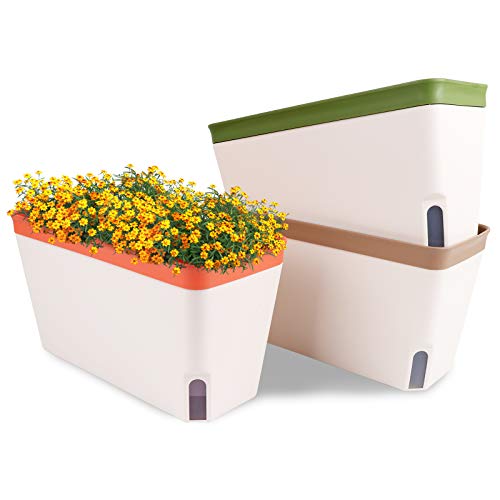 Self-Watering Plant Pots for Indoor Plants