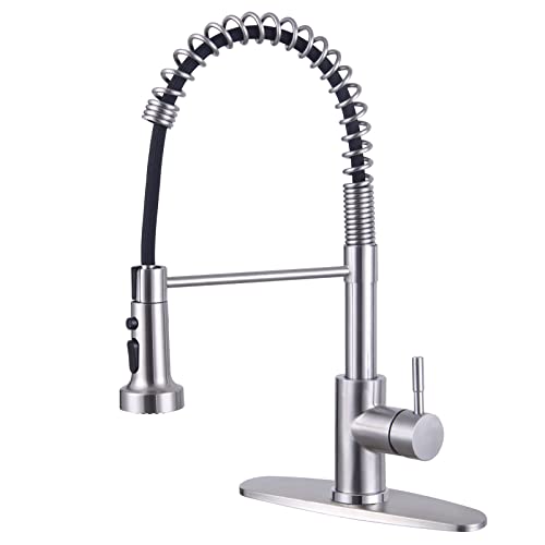 SEMANEY Pull Out Sprayer Kitchen Faucet