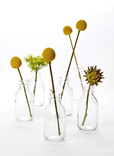 Serene Spaces Living Vintage Glass Milk Bottle Bud Vases - Set of 6
