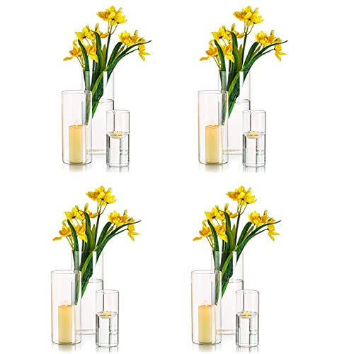 Set of 12 Glass Cylinder Vases for Centerpieces