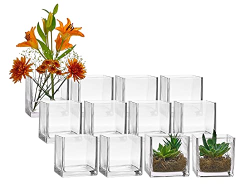 Set of 12 Glass Square Vases
