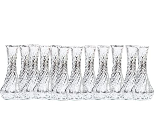 Set of 12 Mercury Silver Glass Vase Set