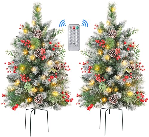 Set of 2 24.5 Inch Lighted Outdoor Christmas Tree