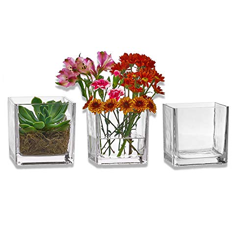 Set of 3 Glass Square Vases