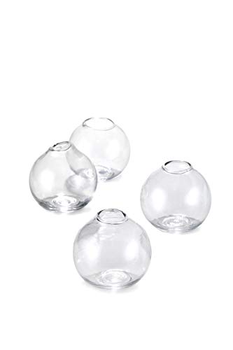 Short Clear Glass Bud Vases for Centerpieces