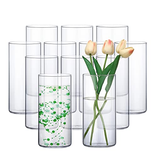 Sieral 12 Pack Glass Cylinder Vases