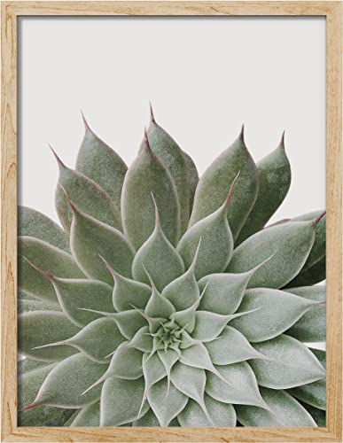 Desert Succulent Close-Up Echeveria Wall Art Print - 12"x16" Natural