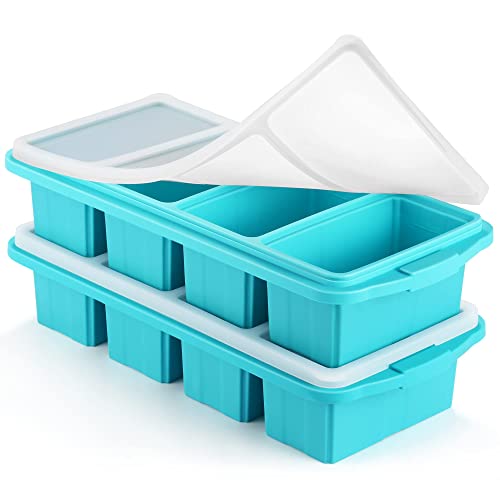 https://storables.com/wp-content/uploads/2023/11/silicone-freezer-tray-with-lid-41bZG752fmL.jpg