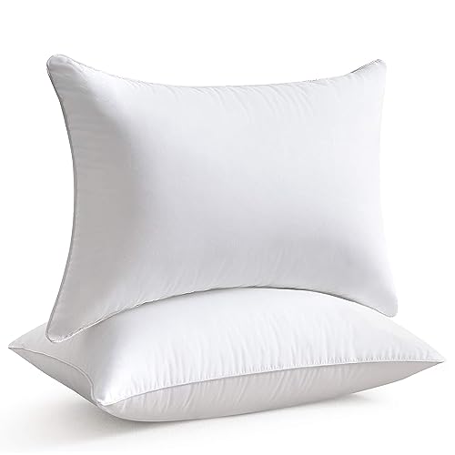 9 Superior Queen Pillows Set Of 2 for 2024 Storables