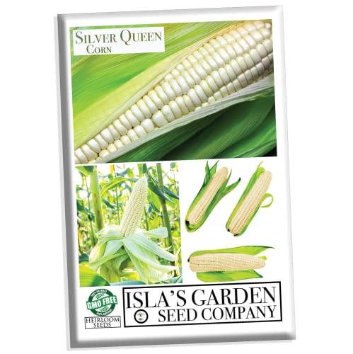 Silver Queen Corn Seeds