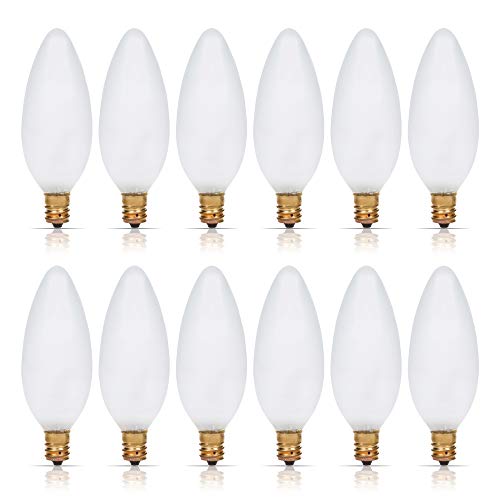 Simba Lighting Decorative Incandescent Light Bulbs 120V