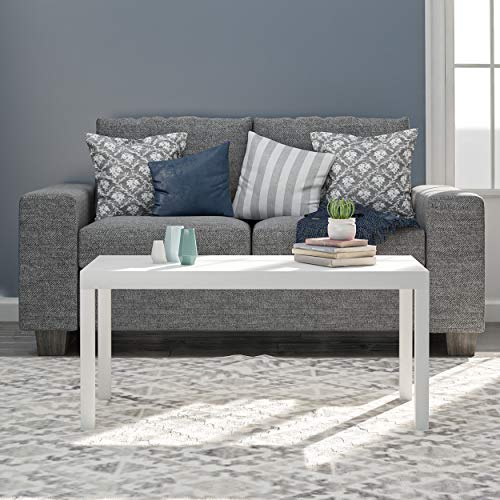 Simple and Sturdy Modern Coffee Table