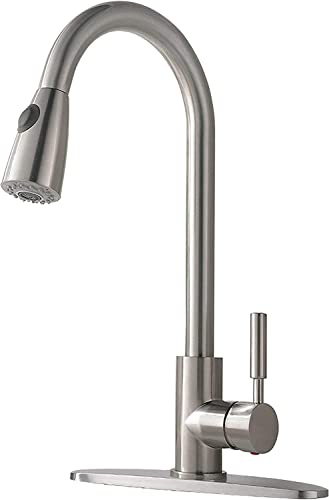 Sink Faucet with Pull Out Hose and Swivel Spout