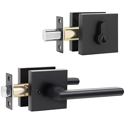 Sleek and Durable Exterior Door Lock Set