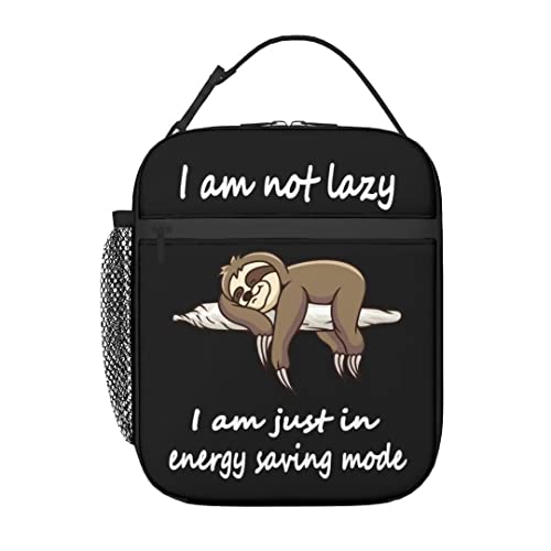 Sloth Lunch Box Insulated Lunch Bag