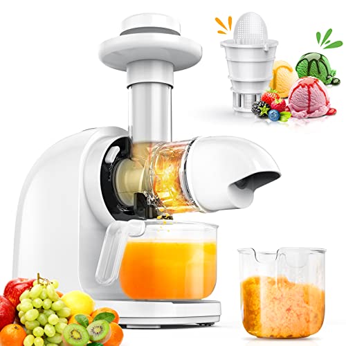 Slow Masticating Juicer with Ceramic Auger