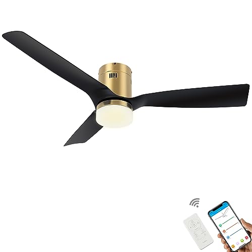 SMAAIR 52 Inch Ceiling Fan with Lights and 10-speed DC Motor