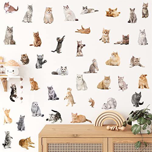 Small Cat Wall Stickers - Cute and Removable Decals for Your Home