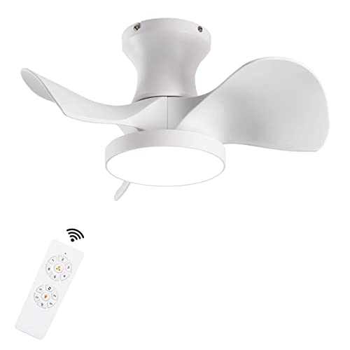 Small Delicate White Ceiling Fan with Lights and Remote