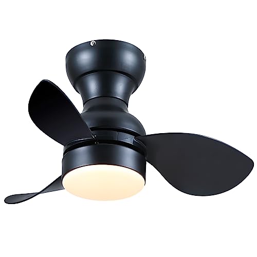 Small Flush Mount Ceiling Fan with Light
