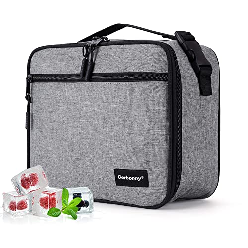 Small Freezable Lunch Bag with Ice Packs