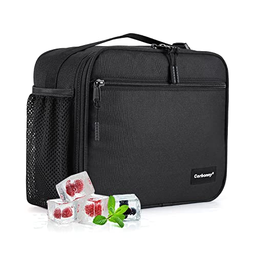 https://storables.com/wp-content/uploads/2023/11/small-insulated-lunch-bag-with-ice-packs-41ETayQuWwL.jpg