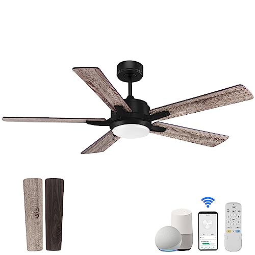 Smart Ceiling Fans with Lights Remote