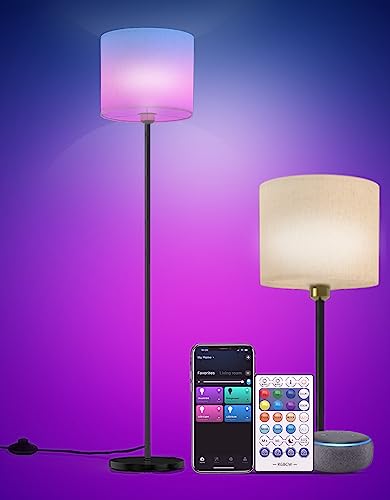 Smart Floor Lamp with Color Changing Dimmable WiFi Light