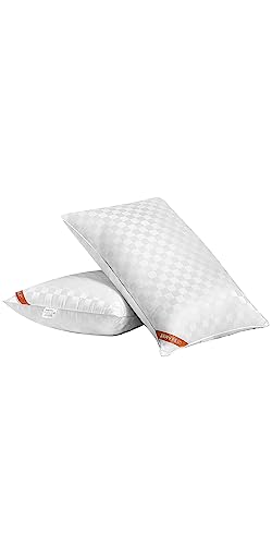 Soft and Skin Friendly Down Alternative Pillow