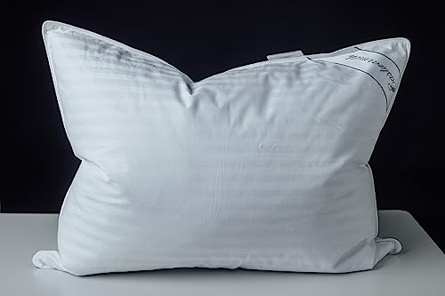 Soft and Supportive Goose Feather Blend Pillow