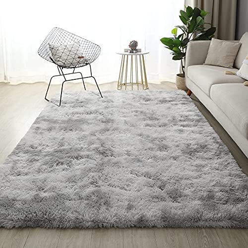 Soft Fluffy Area Rugs for Home