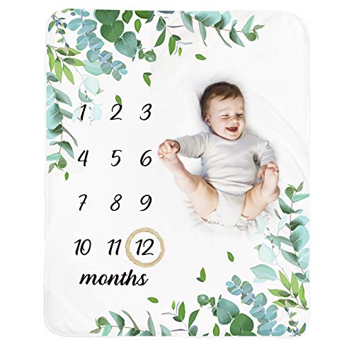 Soft Plush Baby Monthly Milestone Blanket