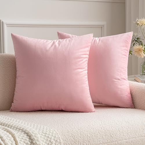Soft Velvet Pillow Covers