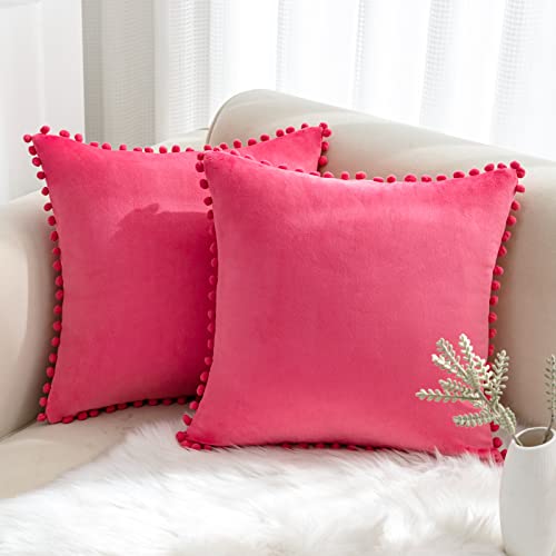 Soft Velvet Pink Throw Pillow Covers Set of 2