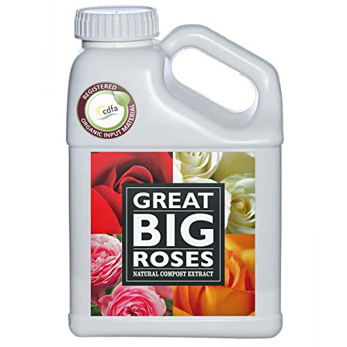 Soil and Fertilizer Booster for Big Beautiful Roses