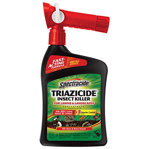 Spectracide Insect Killer Concentrate, 32-Oz, 6-Pack
