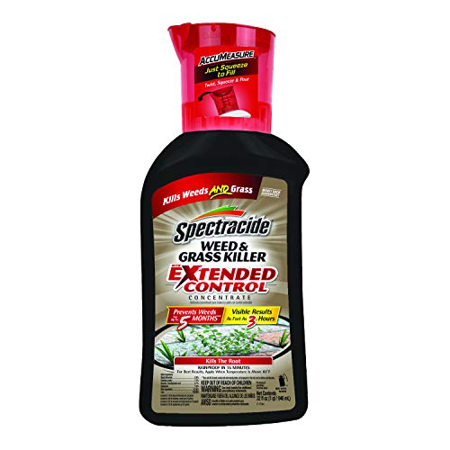 Spectracide Weed and Grass Killer Concentrate with Extended Control